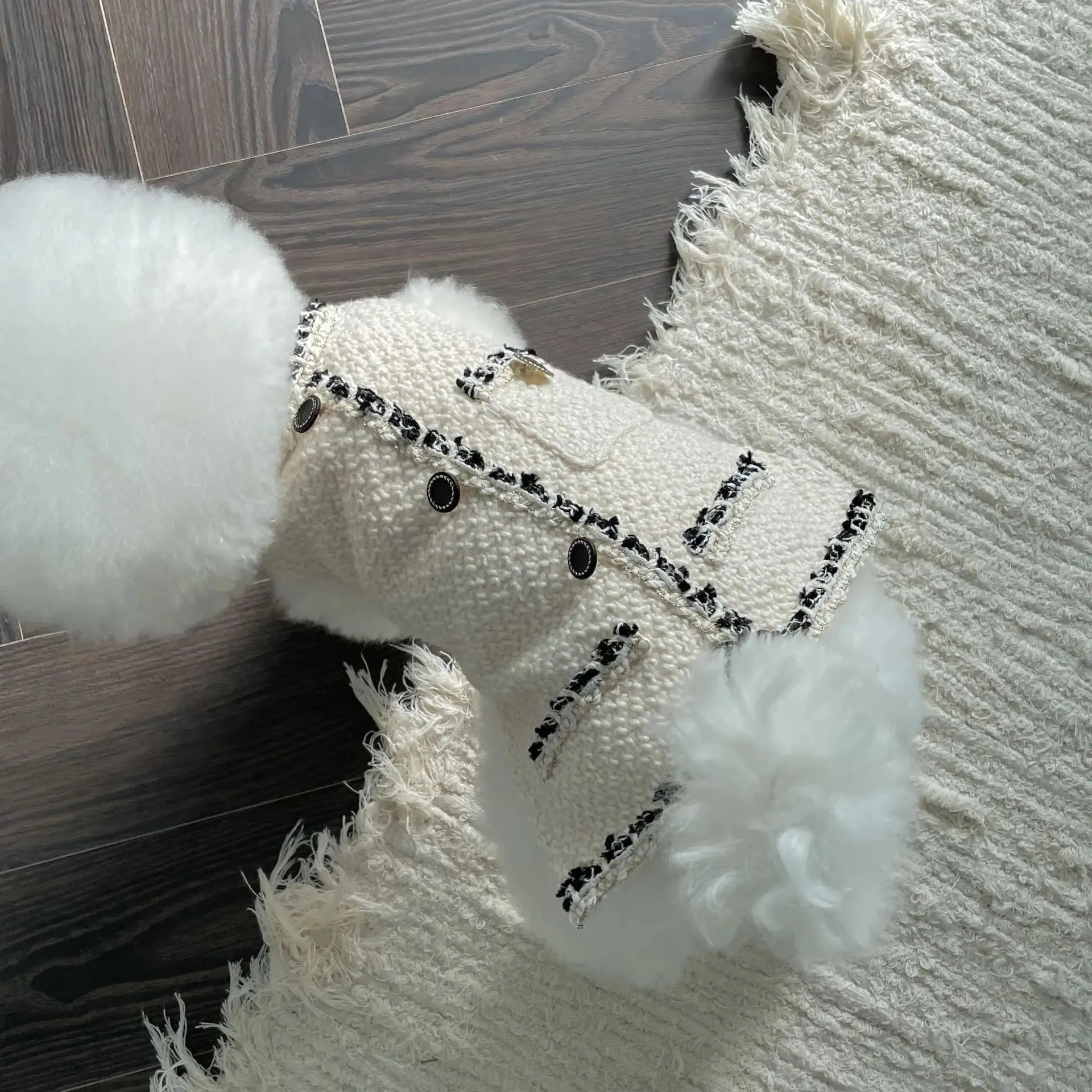 [Best for IG TT] Monochrome Elegance Pet Coat
