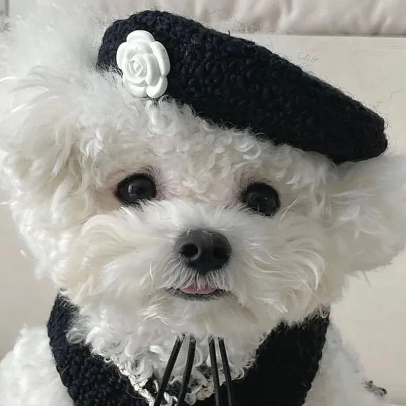 [Best for IG TT] Monochrome Elegance Pet Coat