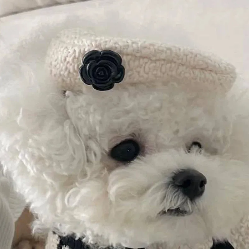 [Best for IG TT] Monochrome Elegance Pet Coat